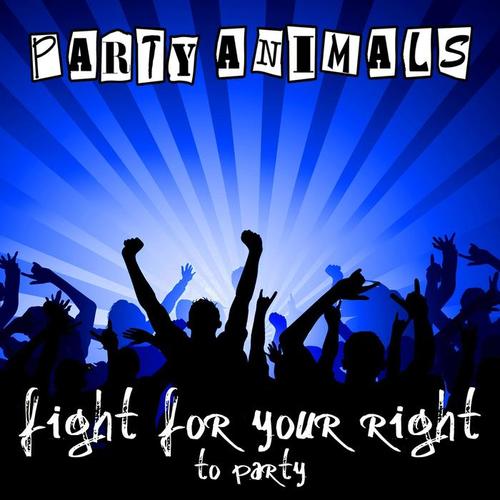 Fight for Your Right (To Party)