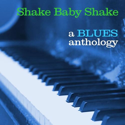 Shake Baby Shake: A Blues Anthology