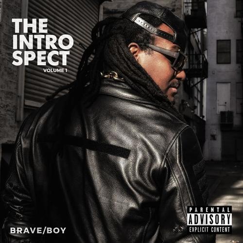 The INTROspect Volume 1 (Explicit)