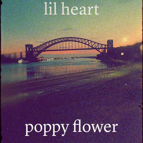 Poppy Flower (Explicit)