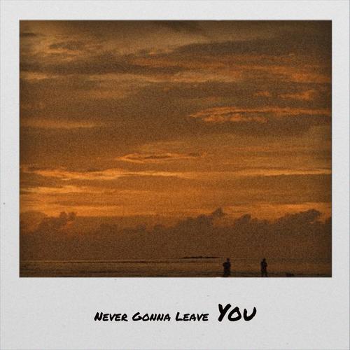 Never Gonna Leave You