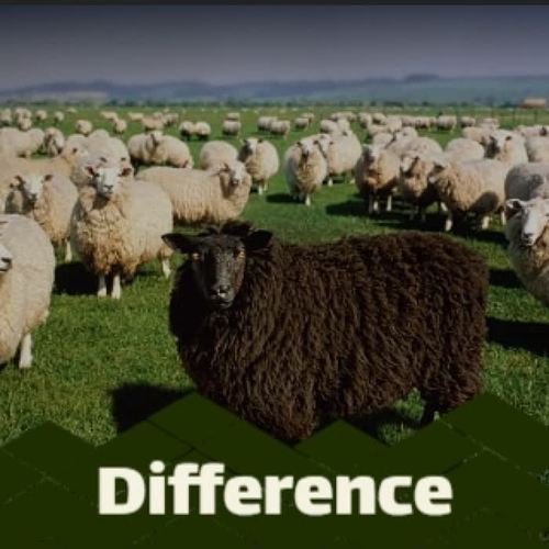 Difference