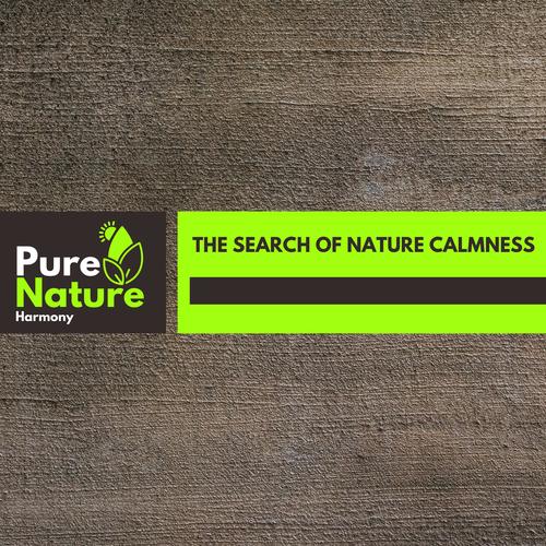 The Search of Nature Calmness