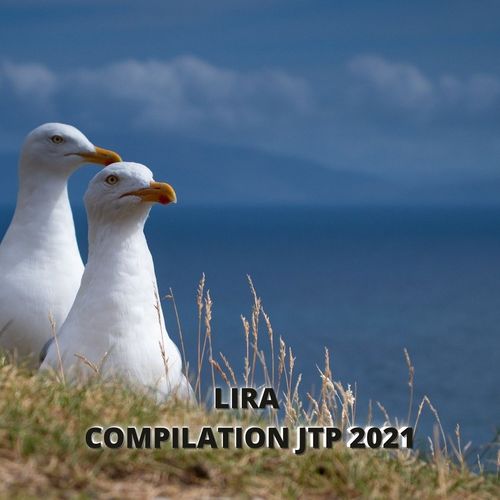 LIRA COMPILATION JTP 2021