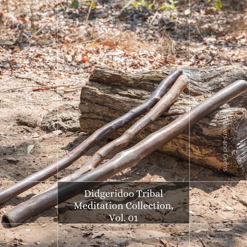 Didgeridoo Tribal Meditation Collection, Vol. 01