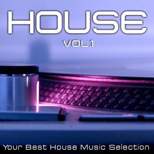 House, Vol. 1 (Your Best House Music Selection)