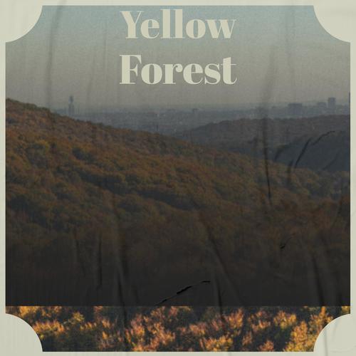 Yellow Forest