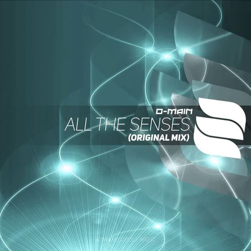 All The Senses