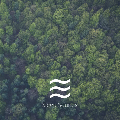 Soft Soothing Smooth Rain Ambient Sounds for Sleep Babies