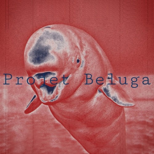 Projet Beluga (Explicit)