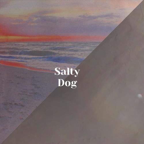 Salty Dog