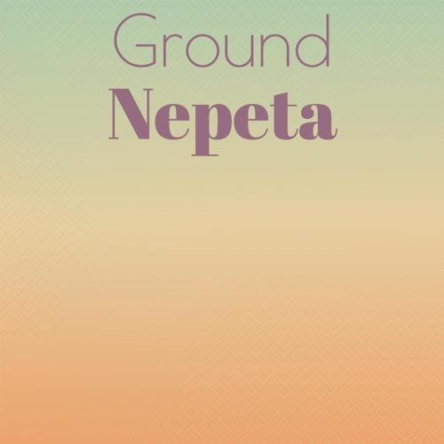 Ground Nepeta