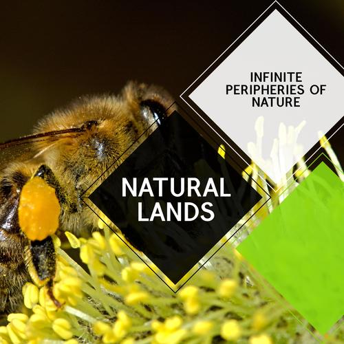 Natural Lands - Infinite Peripheries of Nature