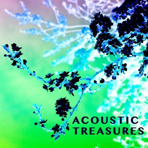 Acoustic Treasures