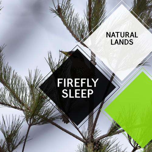 Firefly Sleep - Natural Lands