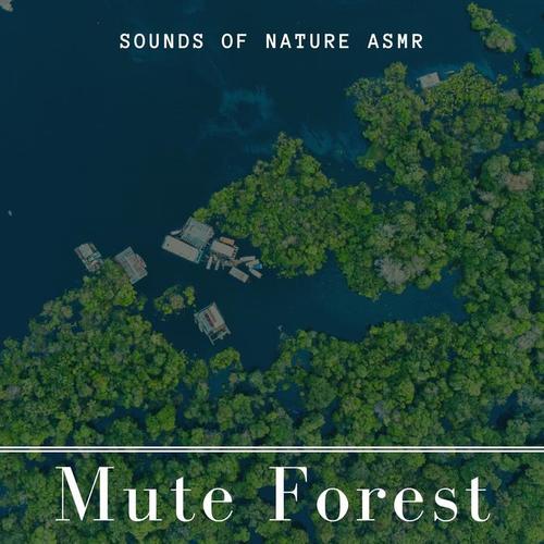 Mute Forest - 15 Protest Songs About Deforestation, Sounds of Nature ASMR