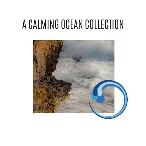 A Calming Ocean Collection