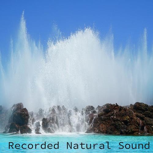 Recorded Natural Sound
