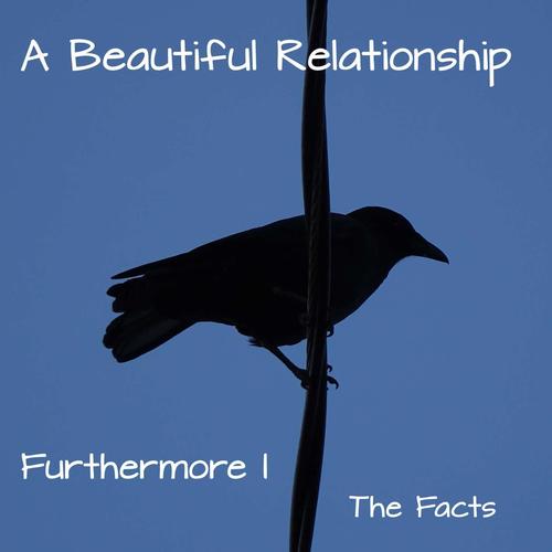 Furthermore I - The Facts