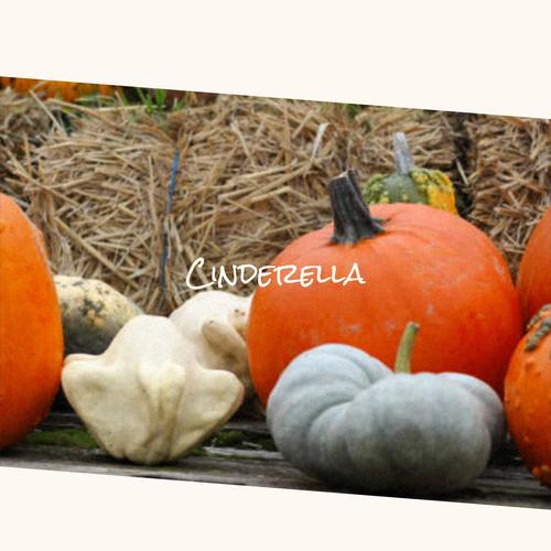 Cinderella