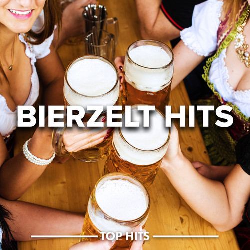 Bierzelt Hits 2023 (Explicit)