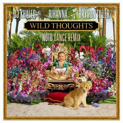 Wild Thoughts (NOTD Dance Remix) [Explicit]