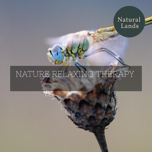 Nature Relaxing Therapy