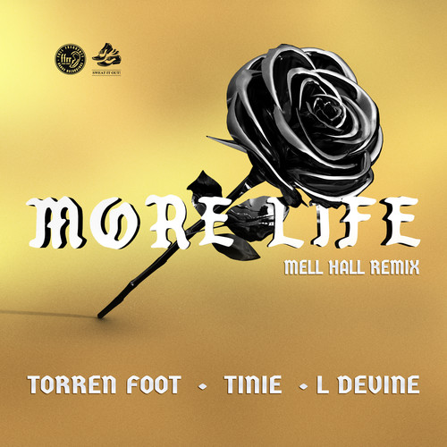 More Life (feat. Tinie Tempah & L Devine) (Mell Hall Remix) [Explicit]