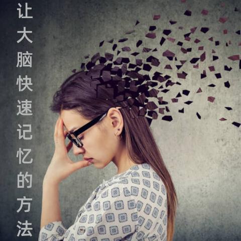 右脑开发 提升记忆力