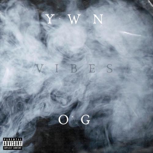 Vibes (Explicit)