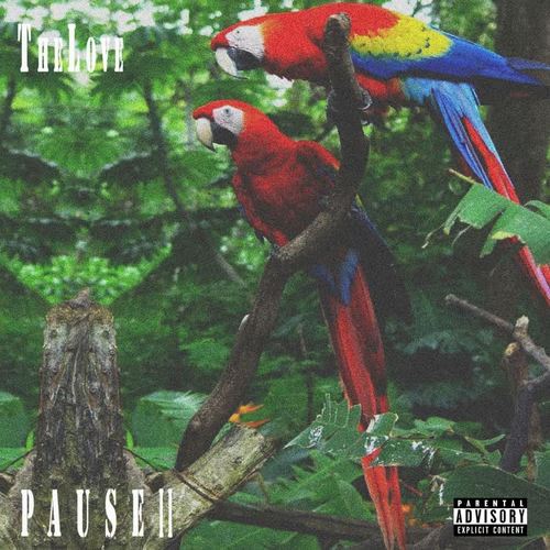 Pause, pt. 2 (Explicit)
