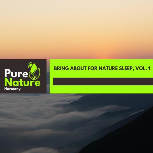 Bring About For Nature Sleep, Vol. 1