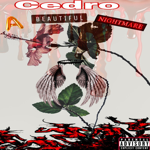 A Beautiful Nightmare (Explicit)