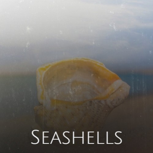 Seashells