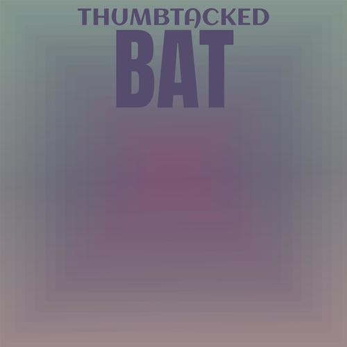 Thumbtacked Bat