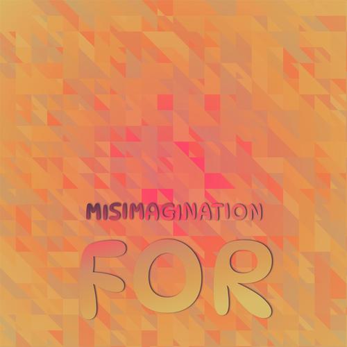 Misimagination For