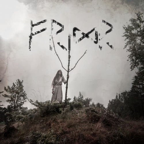 Fridr