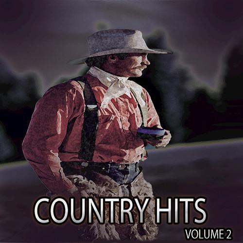 Country Hits, Vol. 2