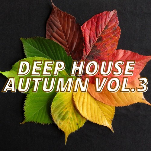 Deep House Autumn Vol.3