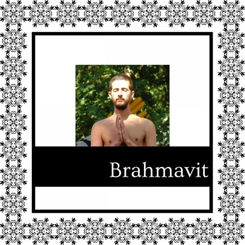 Brahmavit