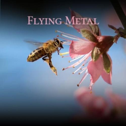 Flying Metal