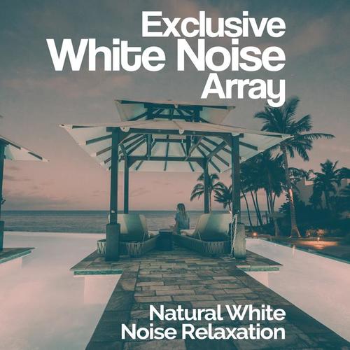 Exclusive White Noise Array