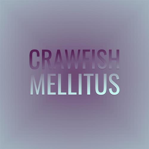 Crawfish Mellitus