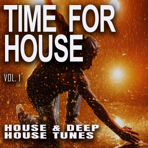 Time for House, Vol. 1