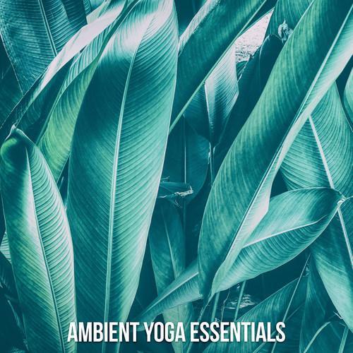 Ambient Yoga Essentials