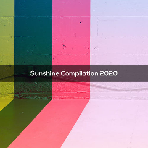 Sunshine Compilation 2020