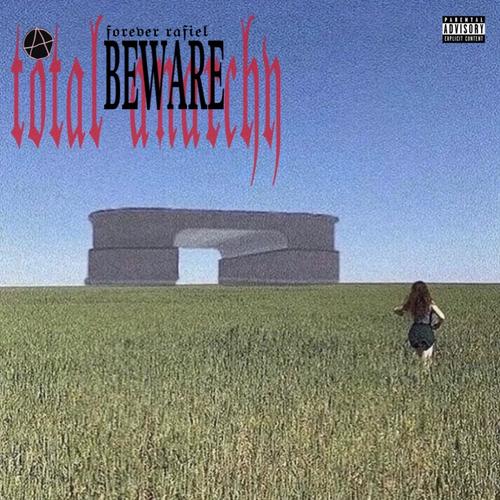 TOTAL ANARCHY (Explicit)