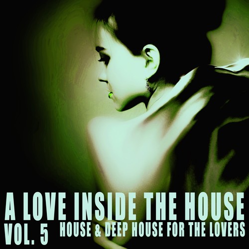 A Love Inside the House, Vol. 5