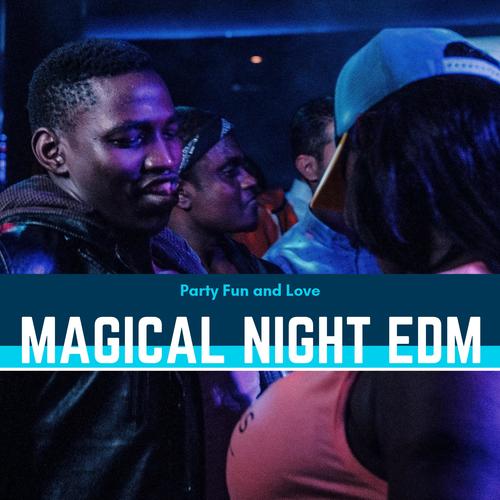 Magical Night EDM - Party Fun And Love