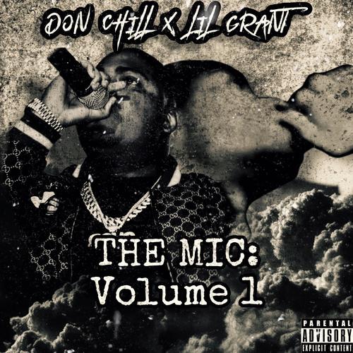 THE MIC: VOLUME 1 (Explicit)